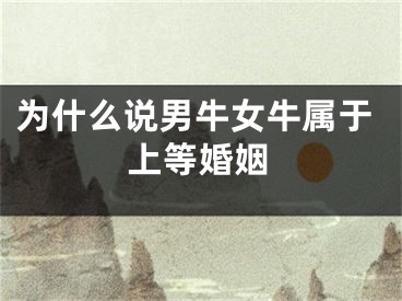 为什么说男牛女牛属于上等婚姻