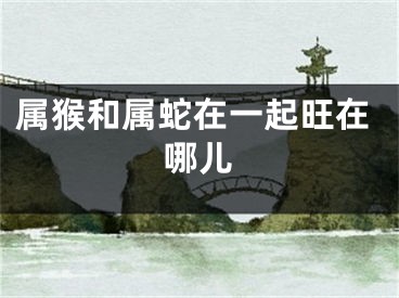 属猴和属蛇在一起旺在哪儿
