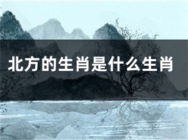 北方的生肖是什么生肖