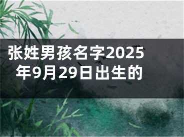 张姓男孩名字2025年9月29日出生的