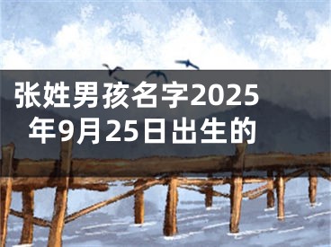张姓男孩名字2025年9月25日出生的