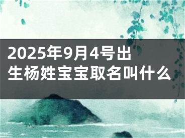 2025年9月4号出生杨姓宝宝取名叫什么