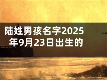 陆姓男孩名字2025年9月23日出生的