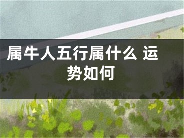属牛人五行属什么 运势如何