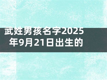 武姓男孩名字2025年9月21日出生的