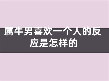 属牛男喜欢一个人的反应是怎样的