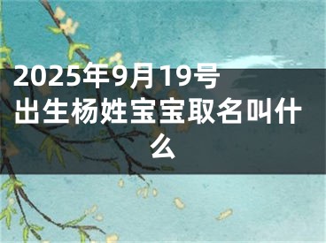 2025年9月19号出生杨姓宝宝取名叫什么
