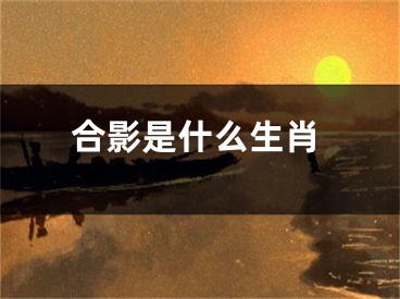 合影是什么生肖