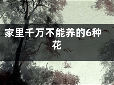 家里千万不能养的6种花