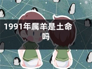 1991年属羊是土命吗