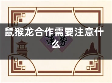 鼠猴龙合作需要注意什么