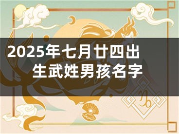 2025年七月廿四出生武姓男孩名字