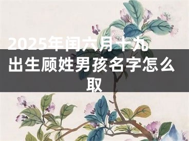 2025年闰六月十九出生顾姓男孩名字怎么取