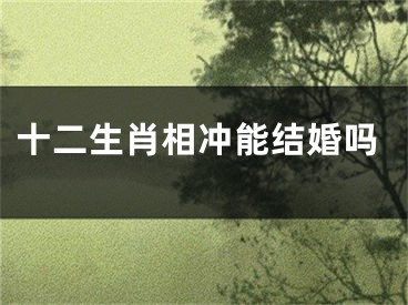 十二生肖相冲能结婚吗