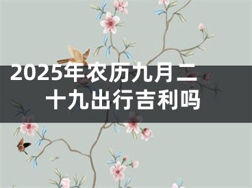 2025年农历九月二十九出行吉利吗