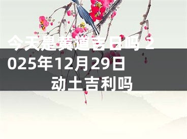 今天是黄道吉日吗 2025年12月29日动土吉利吗