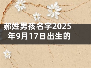 郝姓男孩名字2025年9月17日出生的