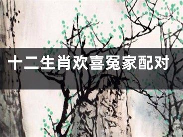 十二生肖欢喜冤家配对