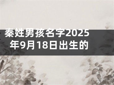 秦姓男孩名字2025年9月18日出生的