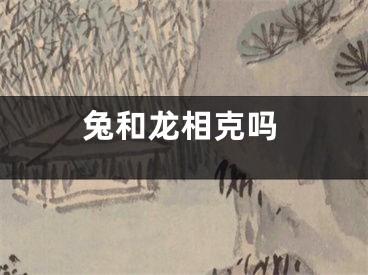 兔和龙相克吗