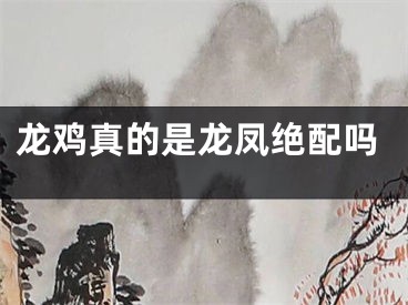 龙鸡真的是龙凤绝配吗