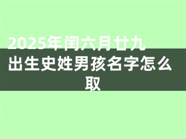 2025年闰六月廿九出生史姓男孩名字怎么取