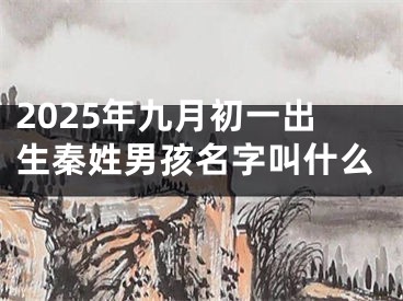 2025年九月初一出生秦姓男孩名字叫什么