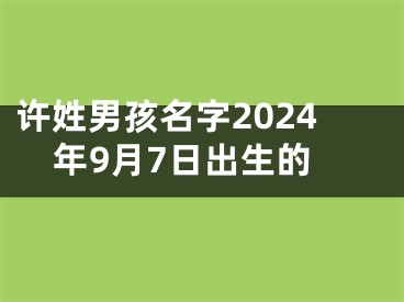 许姓男孩名字2024年9月7日出生的