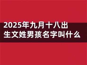 2025年九月十八出生文姓男孩名字叫什么