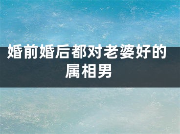 婚前婚后都对老婆好的属相男