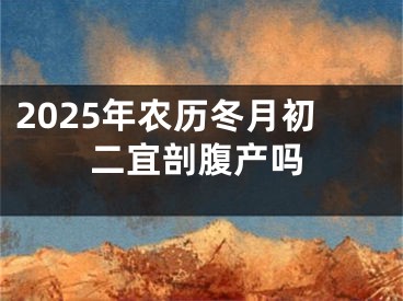 2025年农历冬月初二宜剖腹产吗
