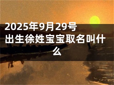 2025年9月29号出生徐姓宝宝取名叫什么