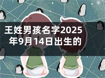 王姓男孩名字2025年9月14日出生的