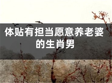 体贴有担当愿意养老婆的生肖男