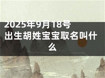 2025年9月18号出生胡姓宝宝取名叫什么