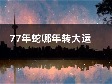 77年蛇哪年转大运