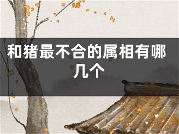 和猪最不合的属相有哪几个
