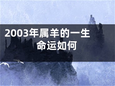 2003年属羊的一生命运如何