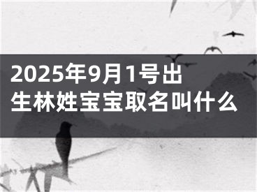 2025年9月1号出生林姓宝宝取名叫什么