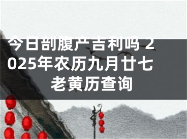 今日剖腹产吉利吗 2025年农历九月廿七老黄历查询