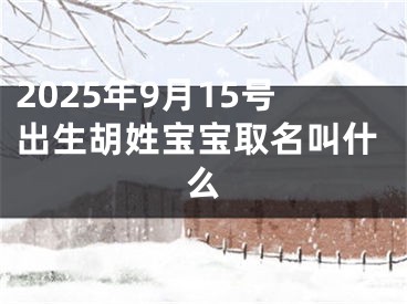 2025年9月15号出生胡姓宝宝取名叫什么