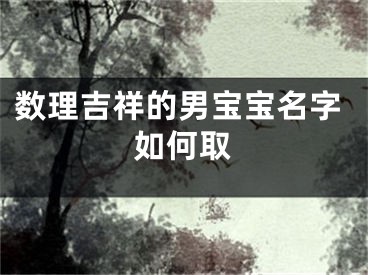 数理吉祥的男宝宝名字如何取