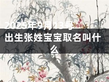 2025年9月13号出生张姓宝宝取名叫什么