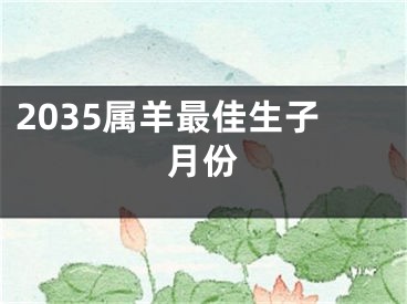 2035属羊最佳生子月份