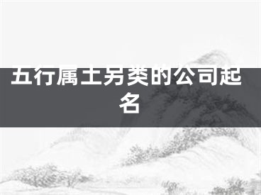 五行属土另类的公司起名