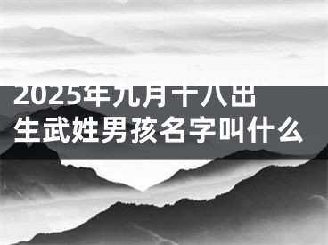 2025年九月十八出生武姓男孩名字叫什么