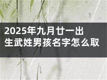 2025年九月廿一出生武姓男孩名字怎么取