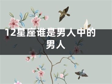 12星座谁是男人中的男人