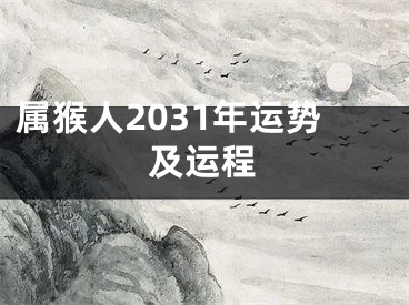 属猴人2031年运势及运程