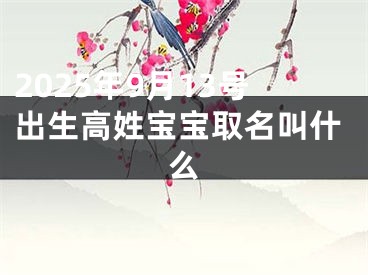 2025年9月13号出生高姓宝宝取名叫什么